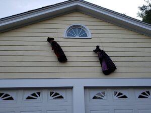 20201018_164500.jpg