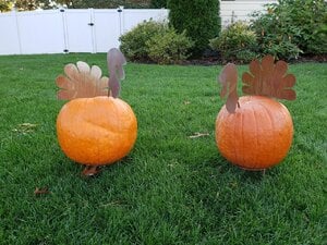 20201018_164551.jpg