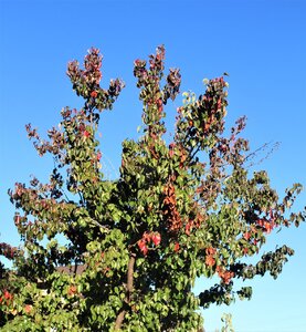 IMG_3868 (2).JPG
