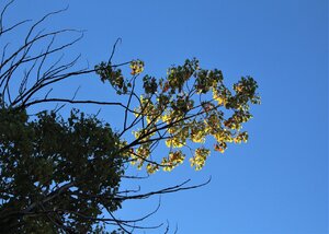 IMG_3872 (2).JPG
