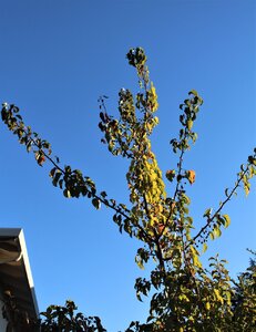 IMG_3873 (2).JPG