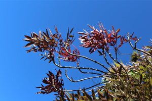 IMG_3893 (2).JPG