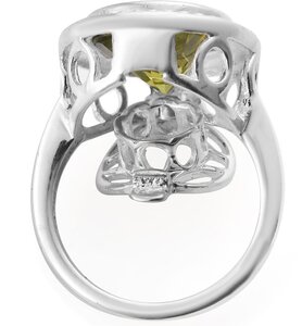 interchangeable ring1.jpg