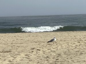 721B764C-45C4-4B1F-9288-DF0755922151.jpeg