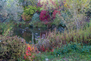 Katherine Albertson Fall colors -0391.jpg