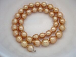 GSS in white bowl (shows overtones).jpg