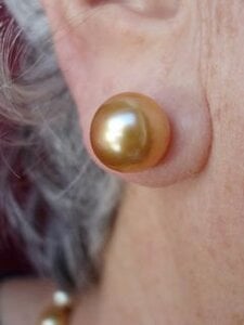 Small GSS ear shot.jpg