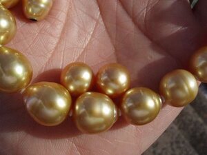 matching GSSP loose pearls for earrings, small.jpeg