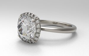 GRADSHANK.117 (1).jpg