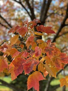 19690A85-25F9-447E-99EE-5237D53B6356.jpeg