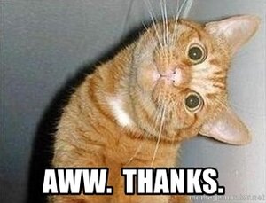 aww-thanks.jpg