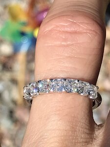 IMG_3665.jpg