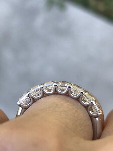 IMG_3653.jpg