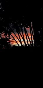 20201025_185811.jpg