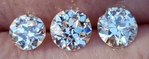 20201017_133503.jpg