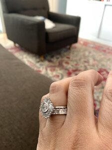 IMG_1982.JPG