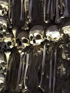17606593-316A-4E01-9E4D-687CE178A503.jpeg