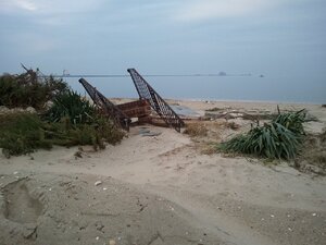 CA6A3623-C158-4B8E-8C9F-5DDE7036D109.jpeg