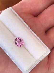 Lavender Spinel Inside day time 1.jpg Lavender Spinel Inside day time 1.jpg