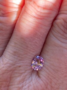 Lavender Spinel Outside Shade:dappled light 1.jpg
