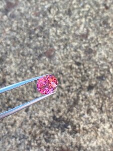 Spinel Mid pink outside strong sunlight 2.jpg