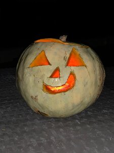 IMG-20201031-WA0002.jpg