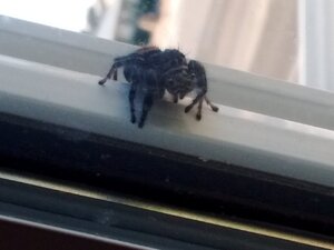 IMG_20200927_162352010.jpg