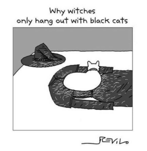 1604158423337.png