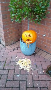 IMG_20201031_151736758.jpg