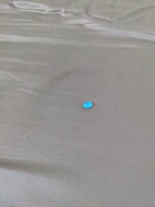 IMG_20201101_105743.jpg