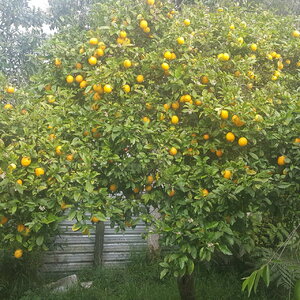 20201103_182523.jpg