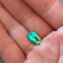 Gene_Tourmaline.png Gene_Tourmaline.png