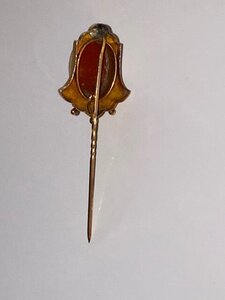 IMG_6542.JPG