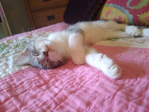 IMG_20200730_161833569.jpg