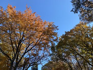 42FF8F6B-F622-449E-B468-CB1B2F5179AE.jpeg