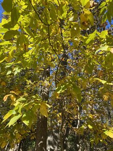 8623FDC8-C66E-44AB-9B6D-57856EF7C52C.jpeg
