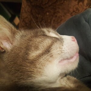 20201111_002223.jpg