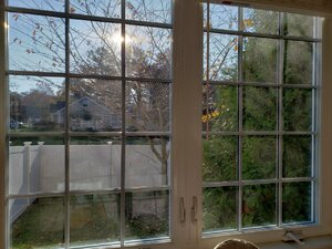 20201110_083143.jpg