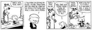 calvinandhobbeshair.jpg calvinandhobbeshair.jpg