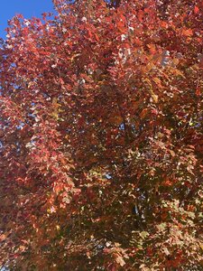 C766DA0C-AEFB-4B20-8440-EF77E249A90C.jpeg
