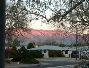 IMG_20201111_170338.jpg