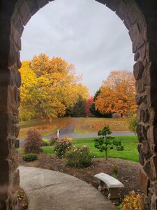 20201024_075141.jpg