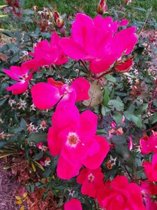 20201024_175702.jpg