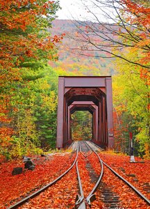 20201112_101715.jpg