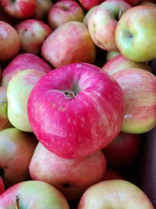 20201101_162254.jpg