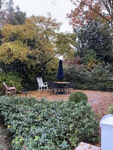 21F7A3D8-9764-458B-87DF-29C2D479D100.jpeg