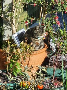 20201104_113122.jpg
