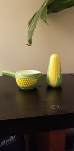 20201113_185410[1].jpg