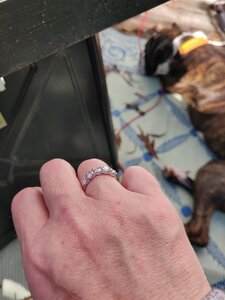 IMG_20201114_105630.jpg