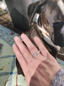IMG_20201114_111454.jpg